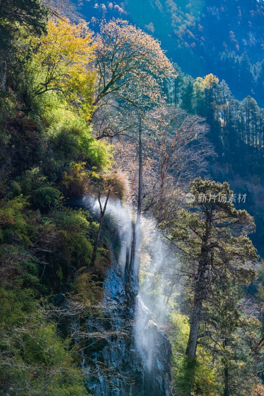 晴朗午后，四川毕棚沟景区秋景