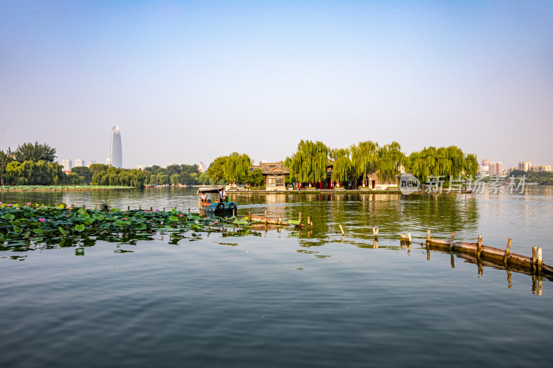 山东济南大明湖风景区自然景观与城市风光