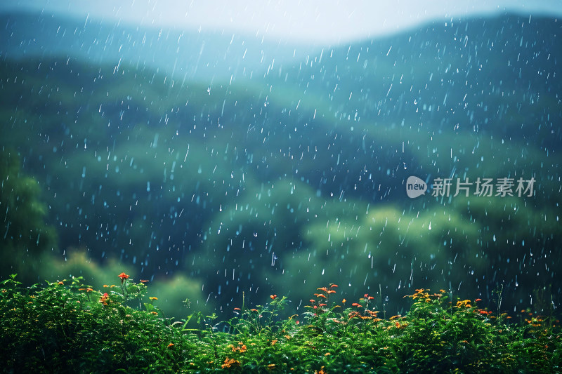 自然风景植物背景雨水