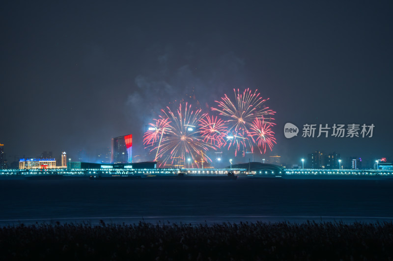 新年夜空中绽放的烟火