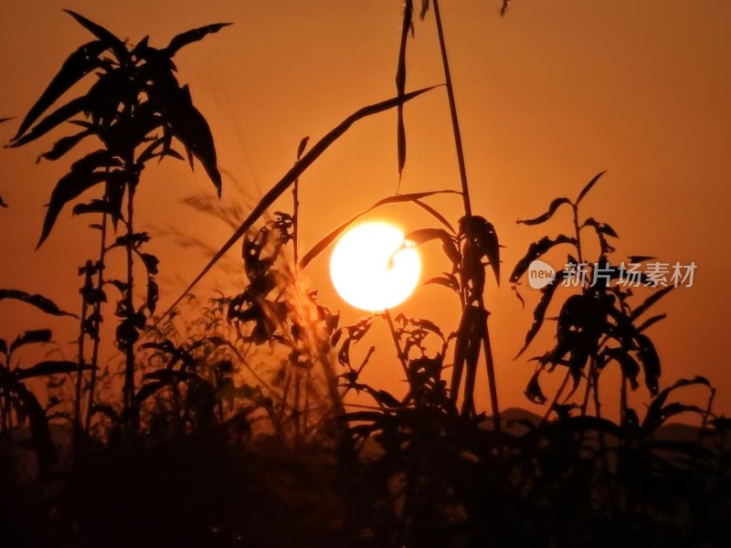 秋天夕阳的落衰感