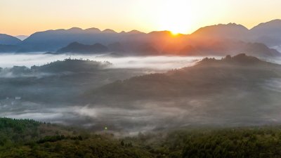 重庆酉阳：霜降后的山坡“红似火”