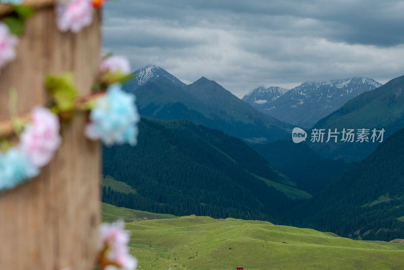 夏日，新疆喀拉峻大草原风光