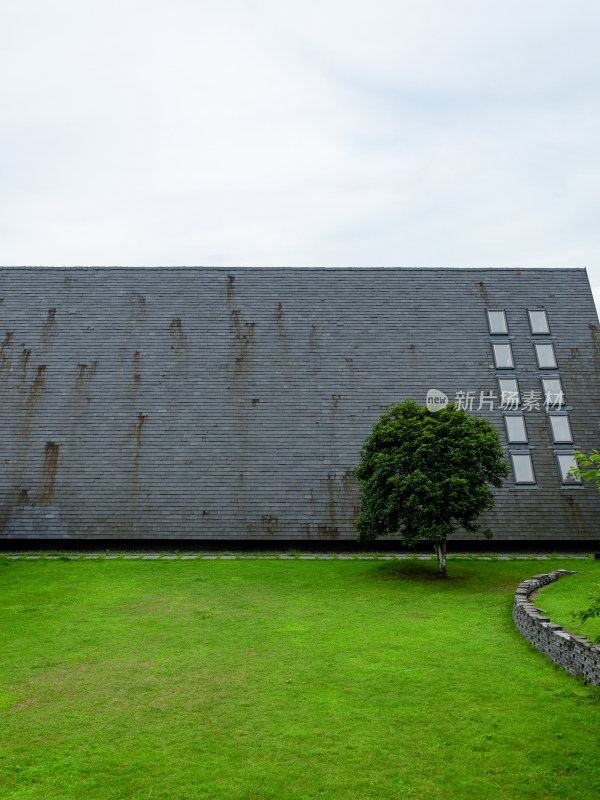 带绿植草地的灰色混凝土建筑外观