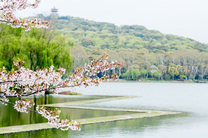 江苏无锡鼋头渚风景区