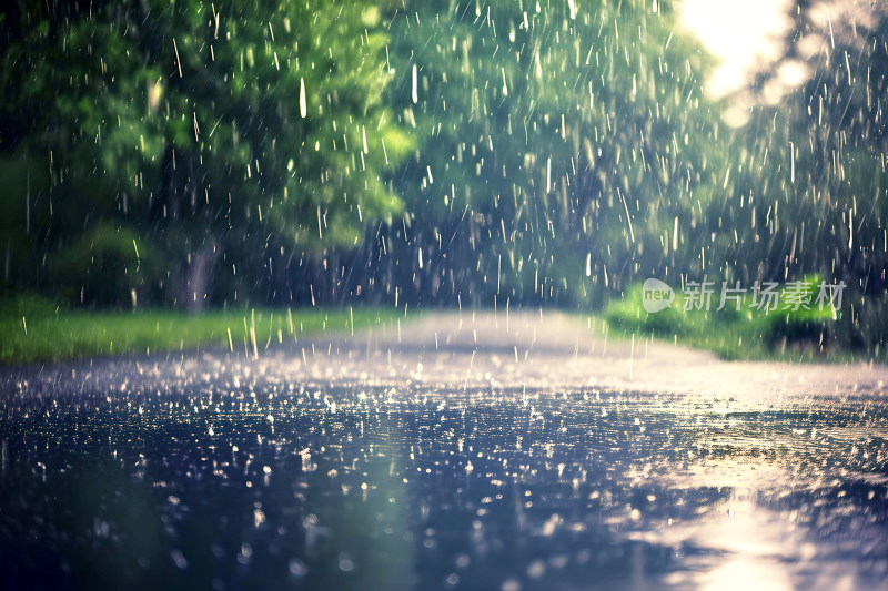 自然风景植物背景雨水