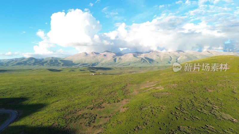 山脉环境 夏天 草地 草  高原 蓝天新疆