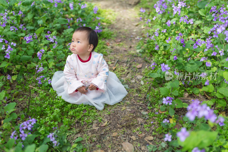 二月兰花丛里的可爱小宝宝