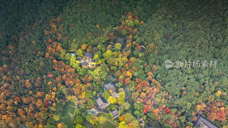 杭州西湖景区永福寺秋色清晨风光