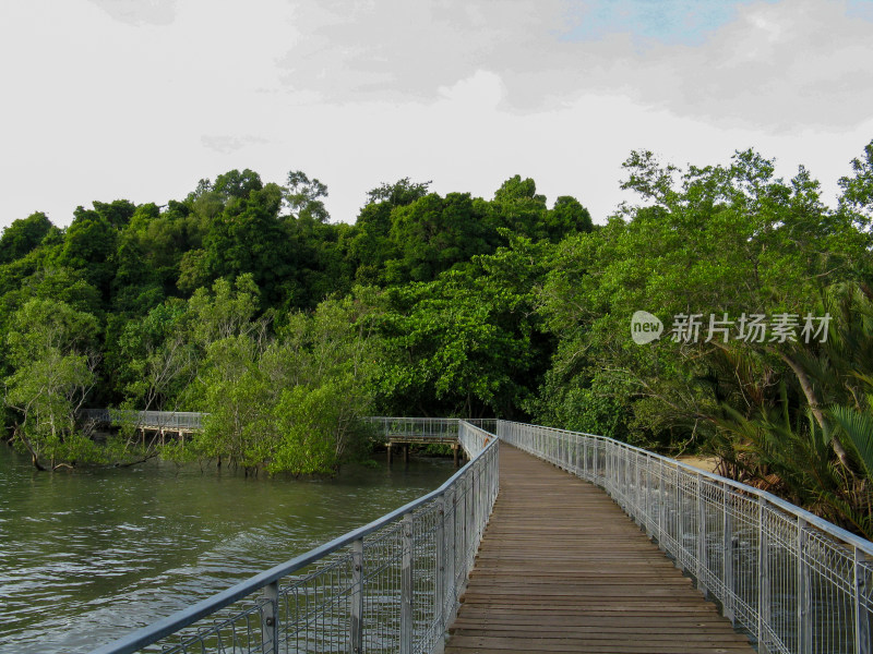 新加坡乌敏岛热带森林风光