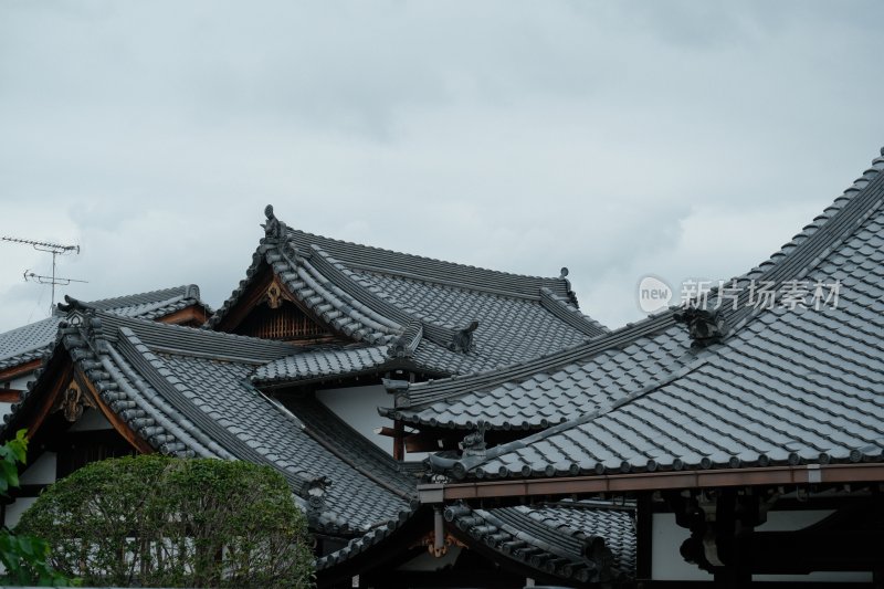 日本箱根富士山自然风光美景