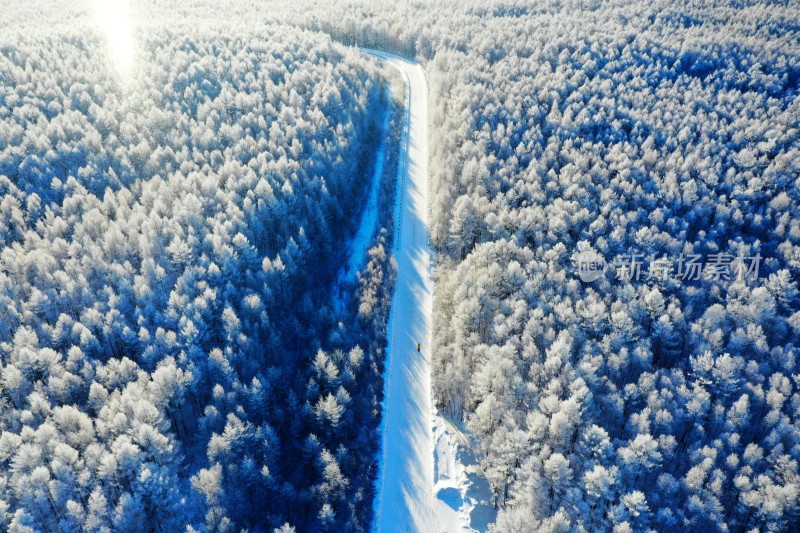 《林海雪原》