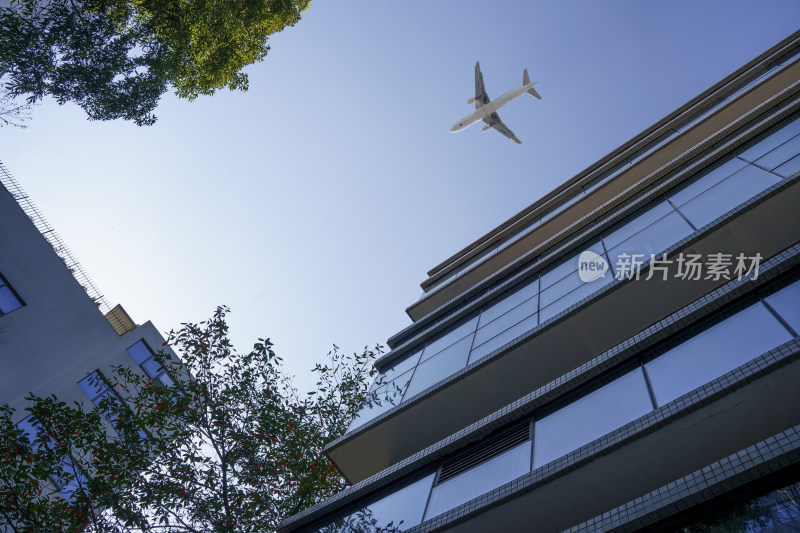 飞机在蓝天下飞越高楼建筑物的低角度视图