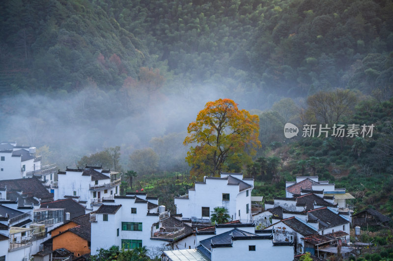 航拍江西婺源石城徽派建筑秋色枫叶村庄日出