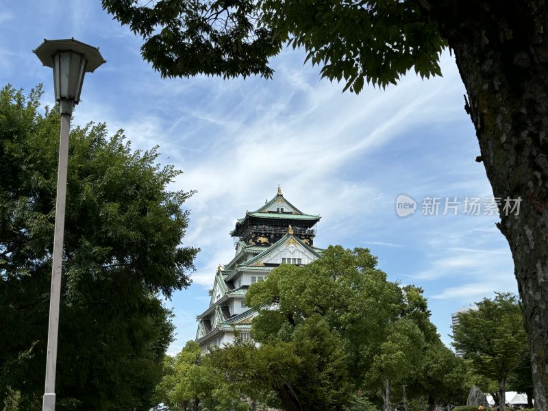 大阪城天守阁绿树环绕景致