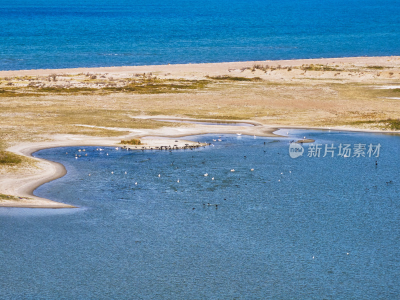 新疆乌伦古湖候鸟湿地保护区