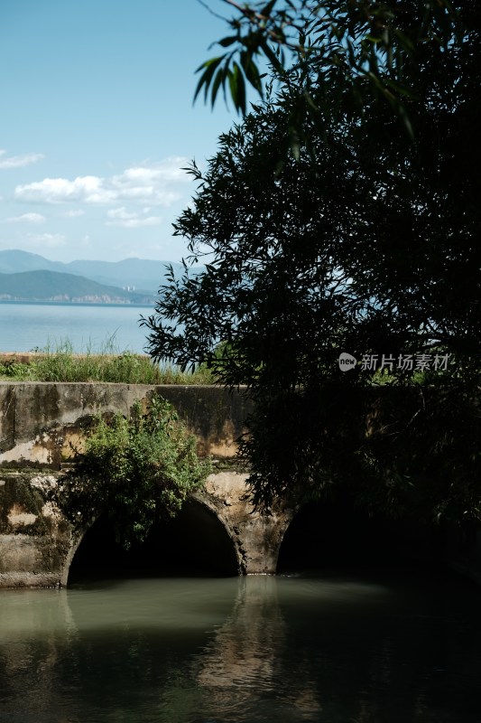 湖边枯树与湖水蓝天景象