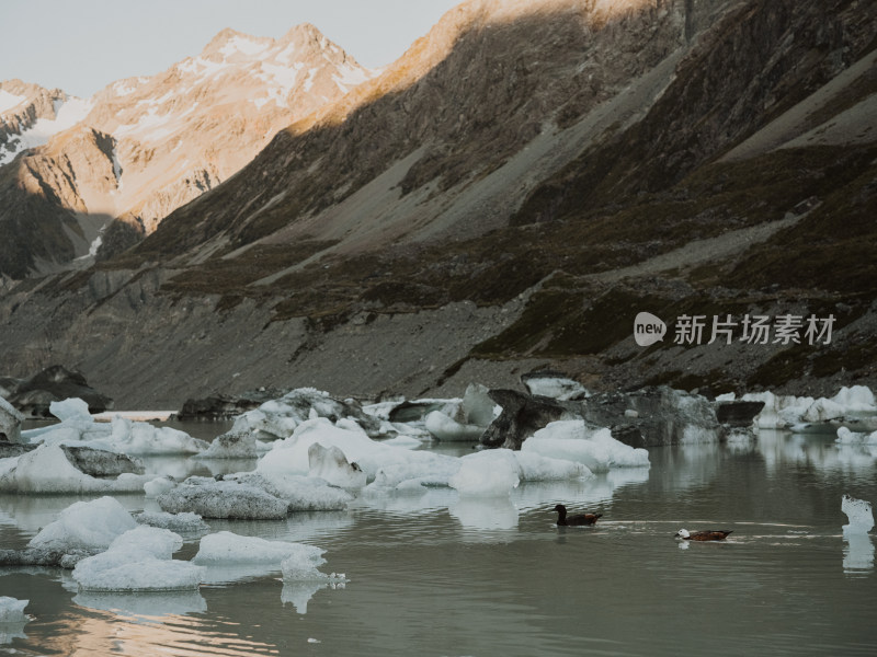 新西兰南阿尔卑斯库克雪山HookerValley步道