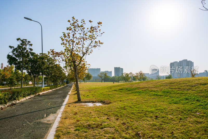 清晨公园内带绿化的弯曲柏油道路