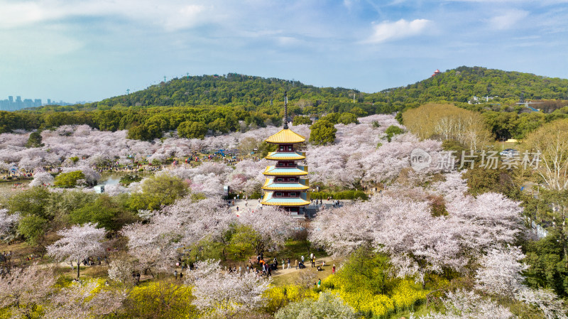 湖北武汉东湖樱花园里的五重塔近景