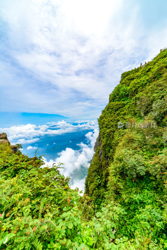 四川峨眉山自然风光