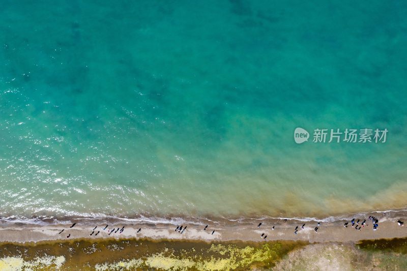 青海湖美景