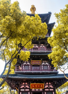 江苏省苏州寒山寺风景区的风光