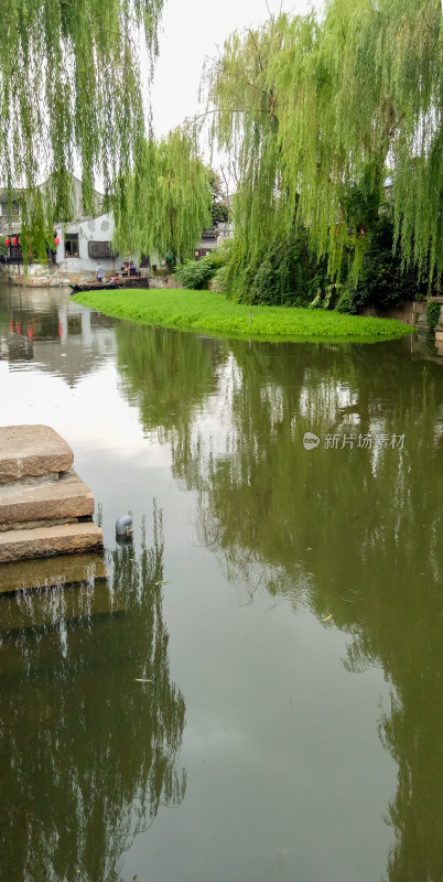 垂柳环绕的水乡河道景观