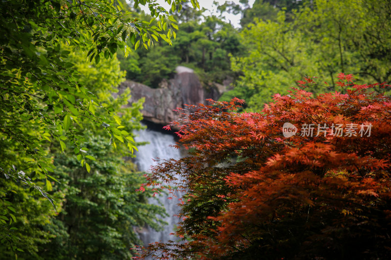 天台之旅