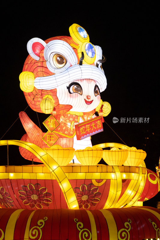 广东惠州西湖灯会上造型精致的花灯造型