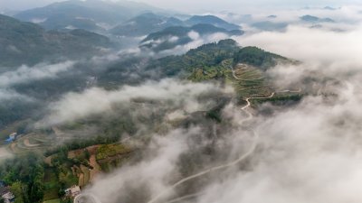 重庆酉阳：今日又见晨雾来