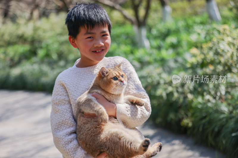 一个中国小男孩和他的宠物猫金渐层