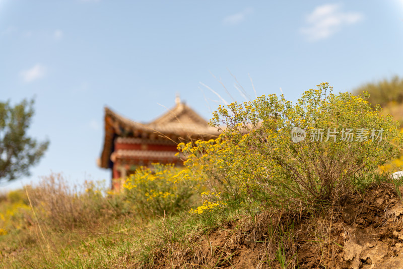 蓝天白云下的寺院