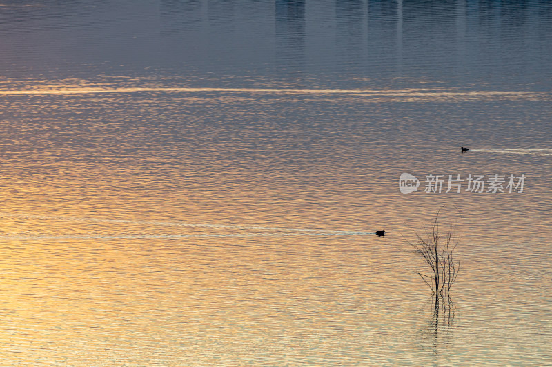 山东济宁邹城孟子湖湖面日落景观