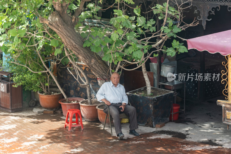 老人树下坐着休憩场景