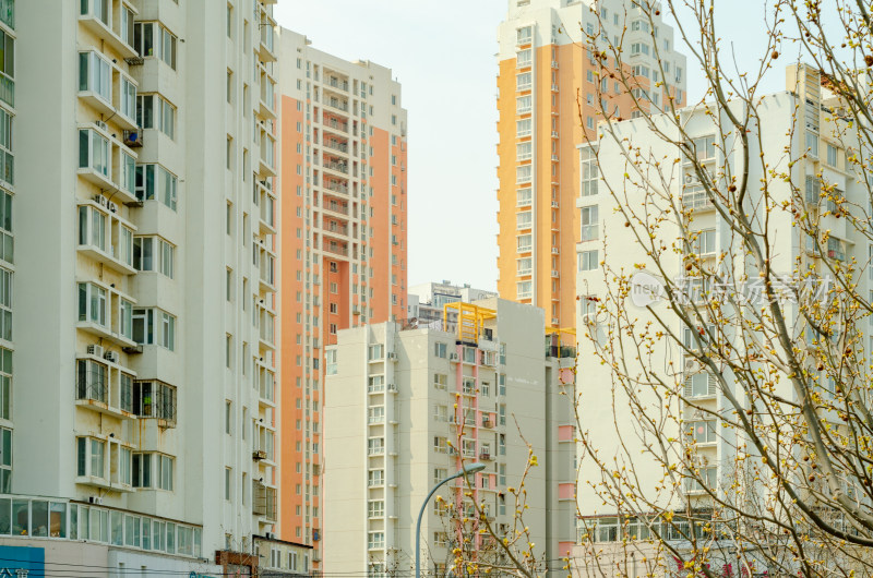 青岛城市风光