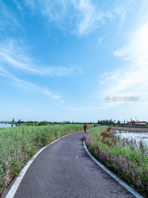 绍兴江南水乡东鉴湖风景