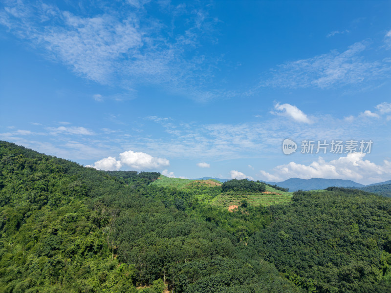 航拍层峦叠嶂的热带雨林