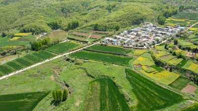 乡村振兴示范村--西安杨庄