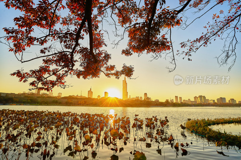 夕阳下的高楼大厦