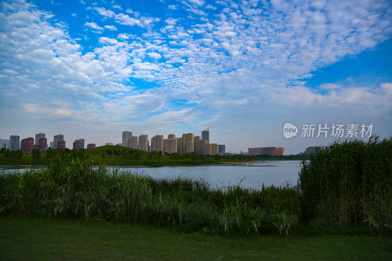 花草 微距摄影 城市风光