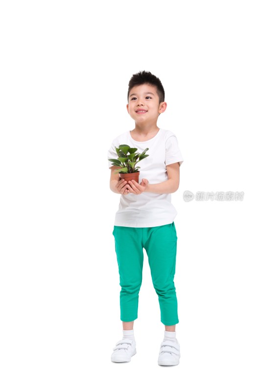 拿着绿色盆栽植物的小男孩