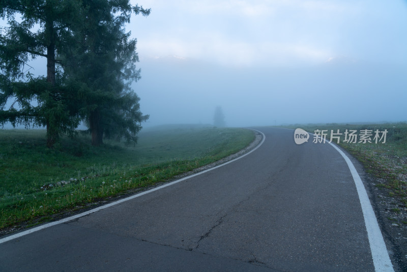 新疆喀纳斯晨雾中的公路