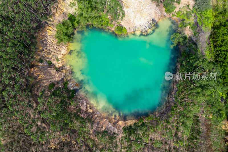 湖中小岛风光与岸边绿树相映成趣