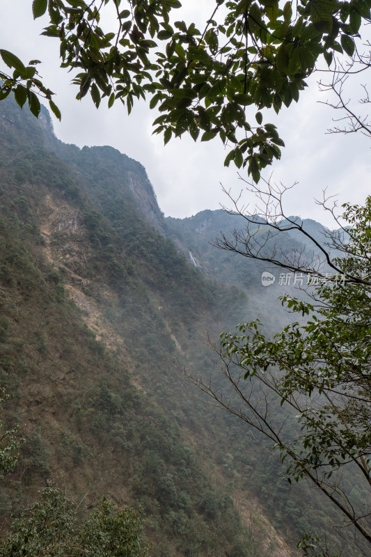 山间雾气弥漫的山林自然景色