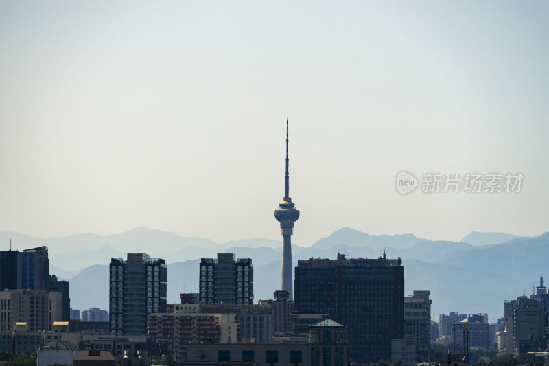 城市中电视塔远景图