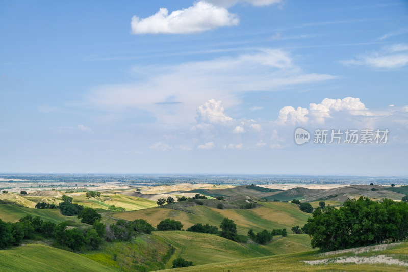 新疆木垒伴山公路 观景台俯瞰山坡麦田