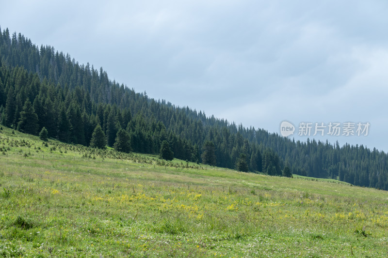 新疆博尔塔拉赛里木湖景区