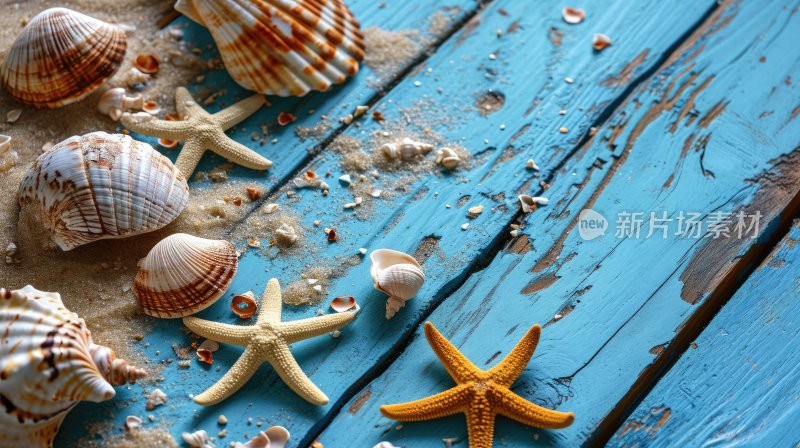 蓝色木板上的贝壳海星