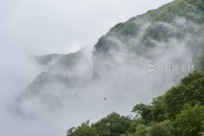 重庆金佛山美景